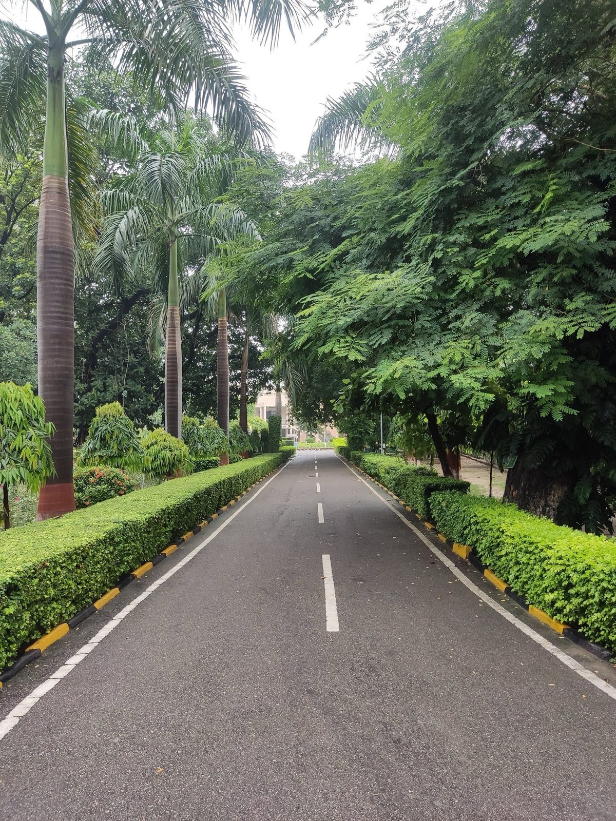 Riverside Gardens, Embu