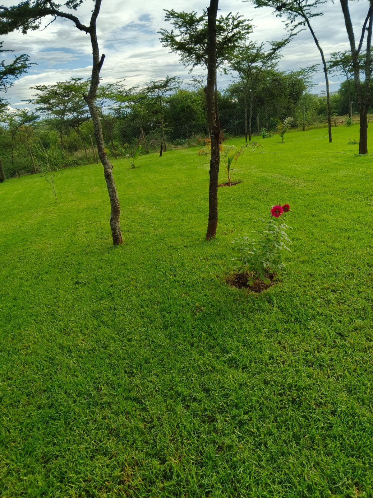 Timau farm day out